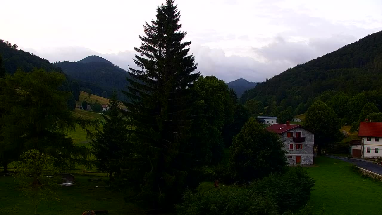 Webcam Loqua / Lokve – La bellezza della selva di Tarnova