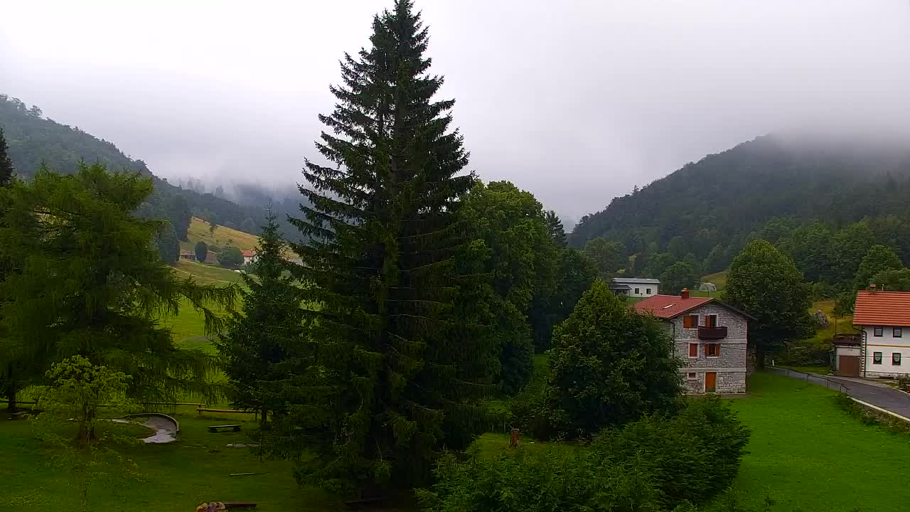 Webcam Lokve – La beauté de la forêt de Trnovo