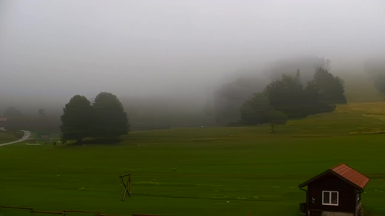 Webcam Lokve – La beauté de la forêt de Trnovo