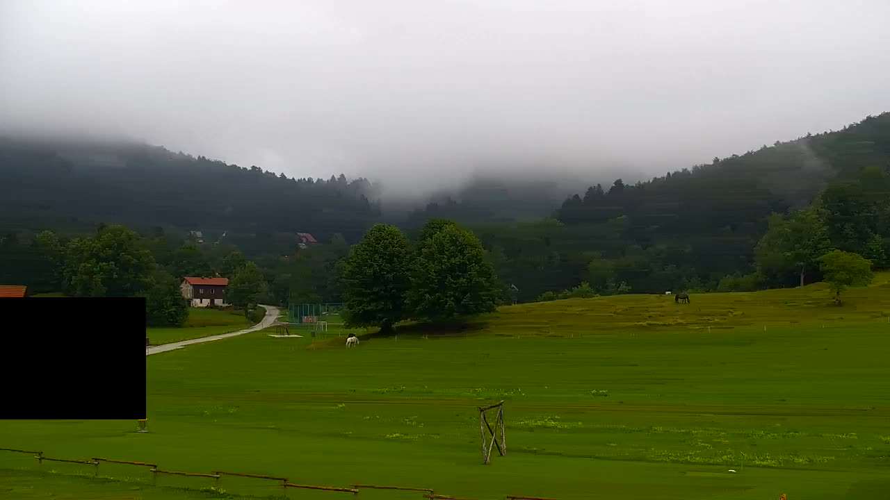 Webcam Lokve – La beauté de la forêt de Trnovo