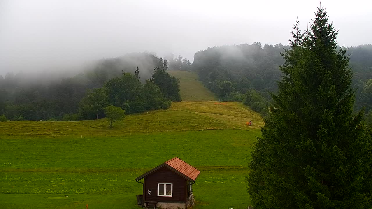 Webcam Lokve – The beauty of the Trnovo forest