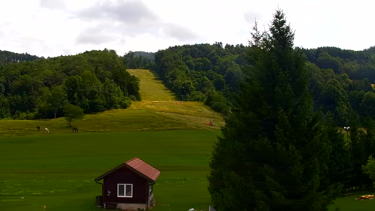 Webcam Loqua / Lokve – La bellezza della selva di Tarnova