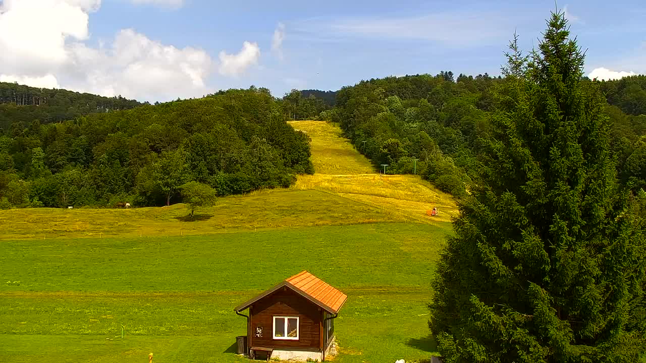 Webcam Lokve – Die Schönheit des Trnovo-Waldes