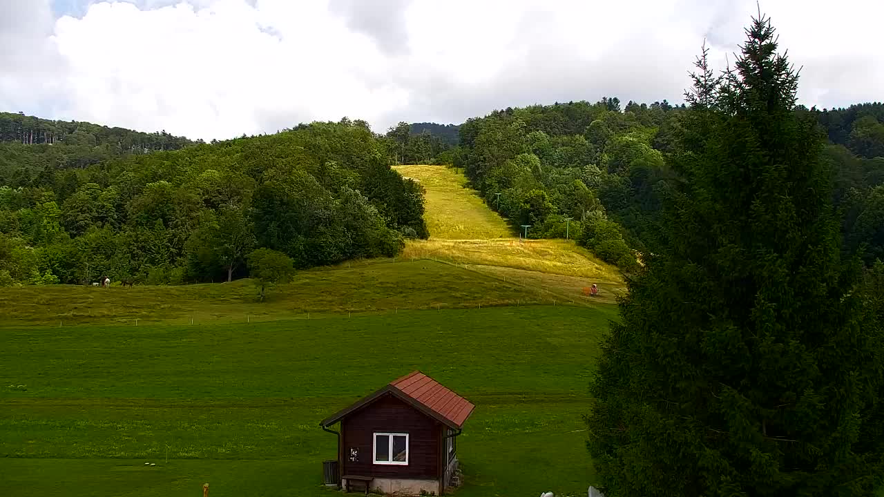 Webcam Lokve – The beauty of the Trnovo forest