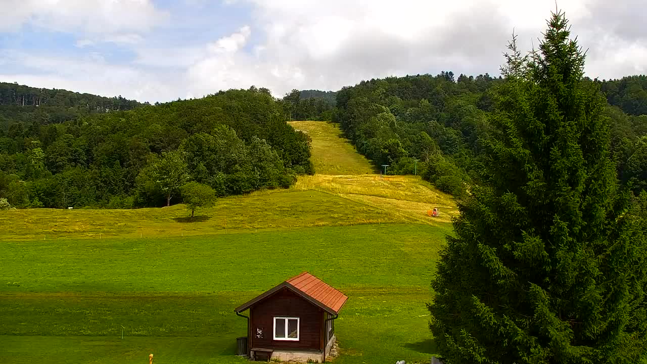 Webcam Lokve – The beauty of the Trnovo forest