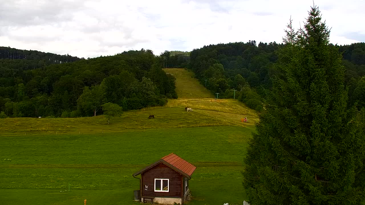 Webcam Lokve – Die Schönheit des Trnovo-Waldes