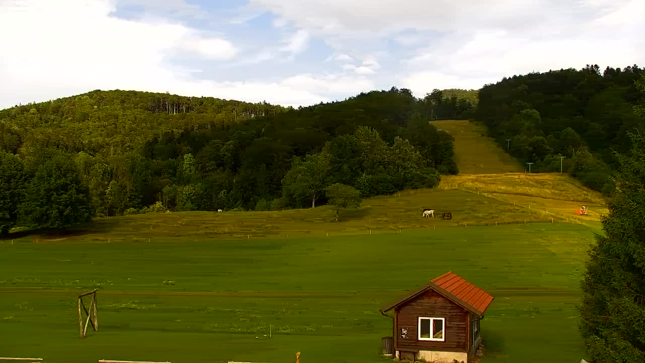 Webcam Lokve – Die Schönheit des Trnovo-Waldes