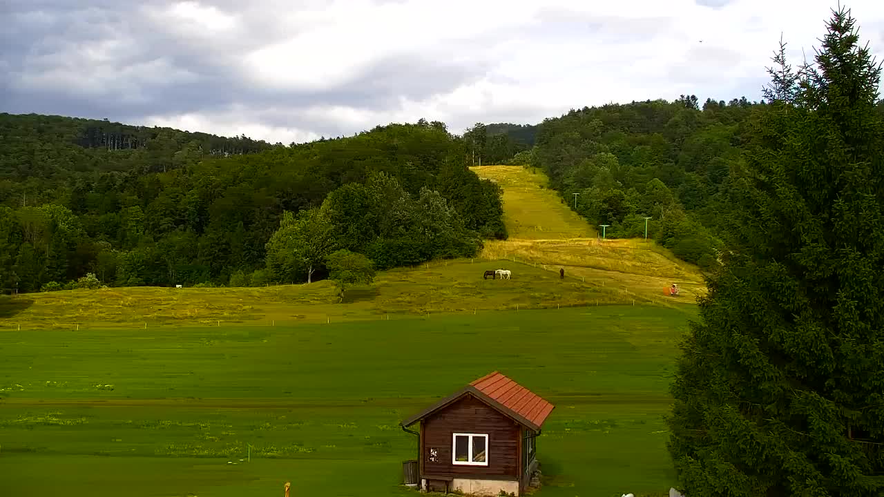 Webcam Lokve – La beauté de la forêt de Trnovo