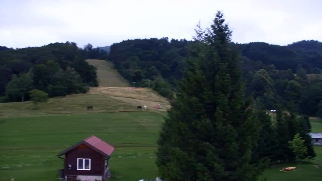 Webcam Lokve – The beauty of the Trnovo forest