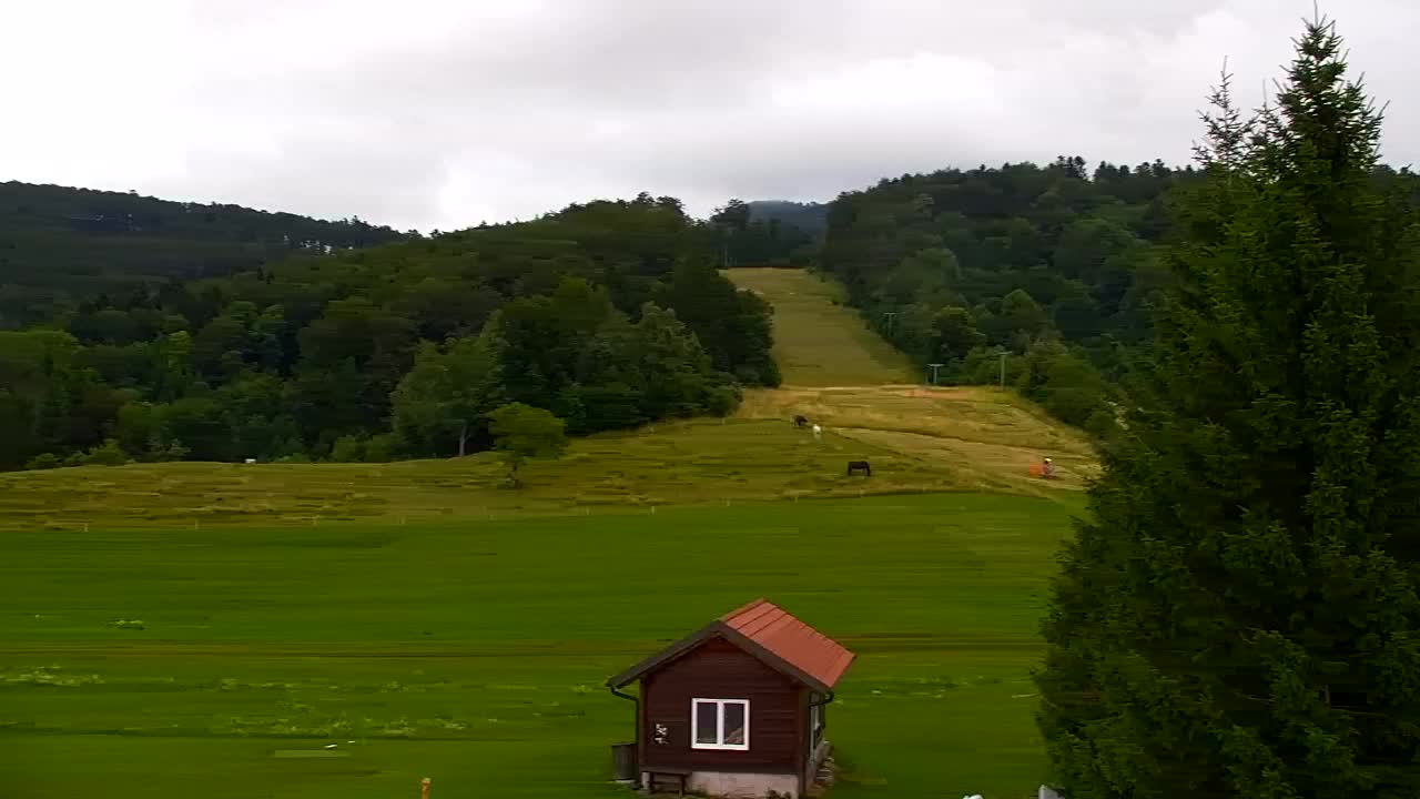 Webcam Lokve – La beauté de la forêt de Trnovo