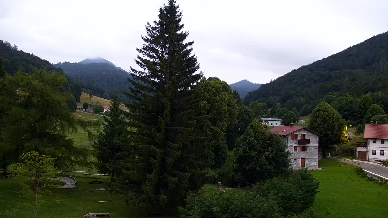 Webcam Lokve – The beauty of the Trnovo forest