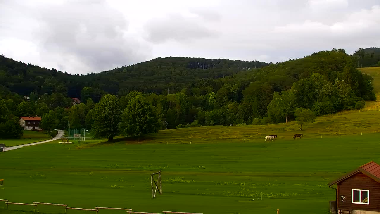 Camera en vivo Lokve – La belleza del bosque de Trnovo