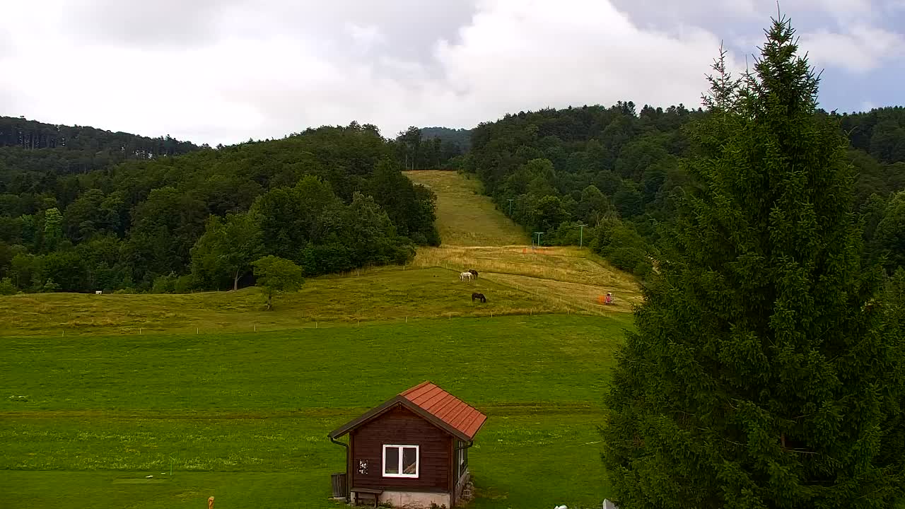 Webcam Loqua / Lokve – La bellezza della selva di Tarnova