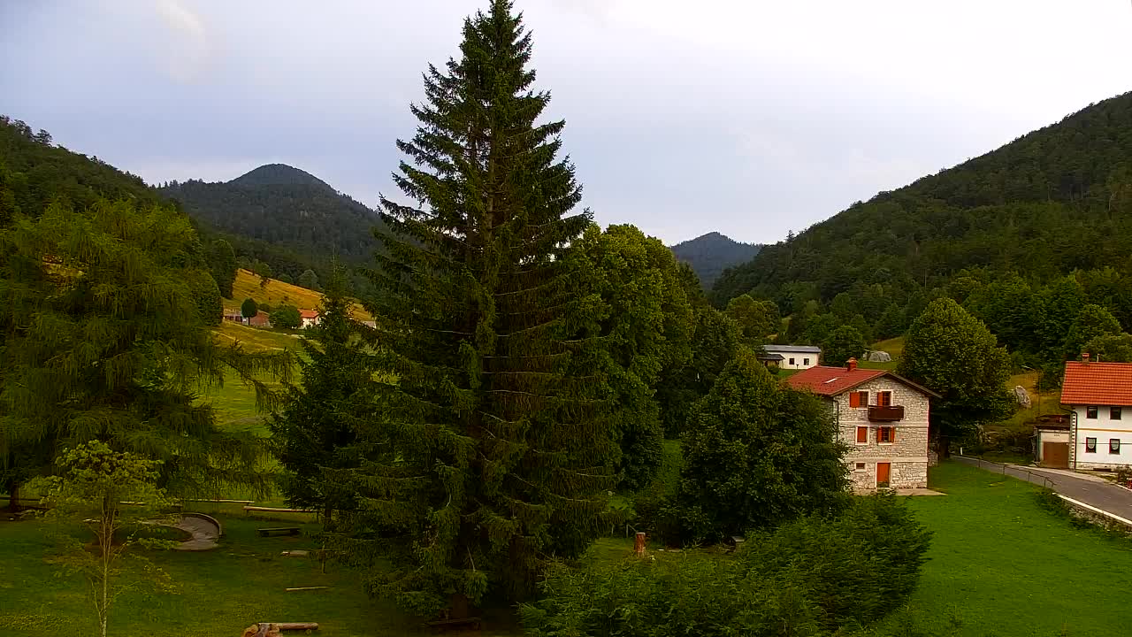 Webcam Lokve – La beauté de la forêt de Trnovo