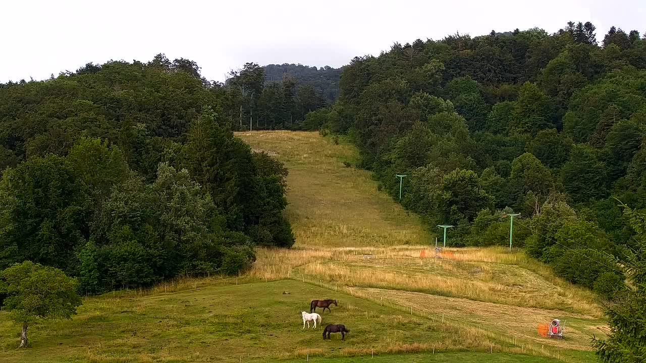 Webcam Lokve – The beauty of the Trnovo forest
