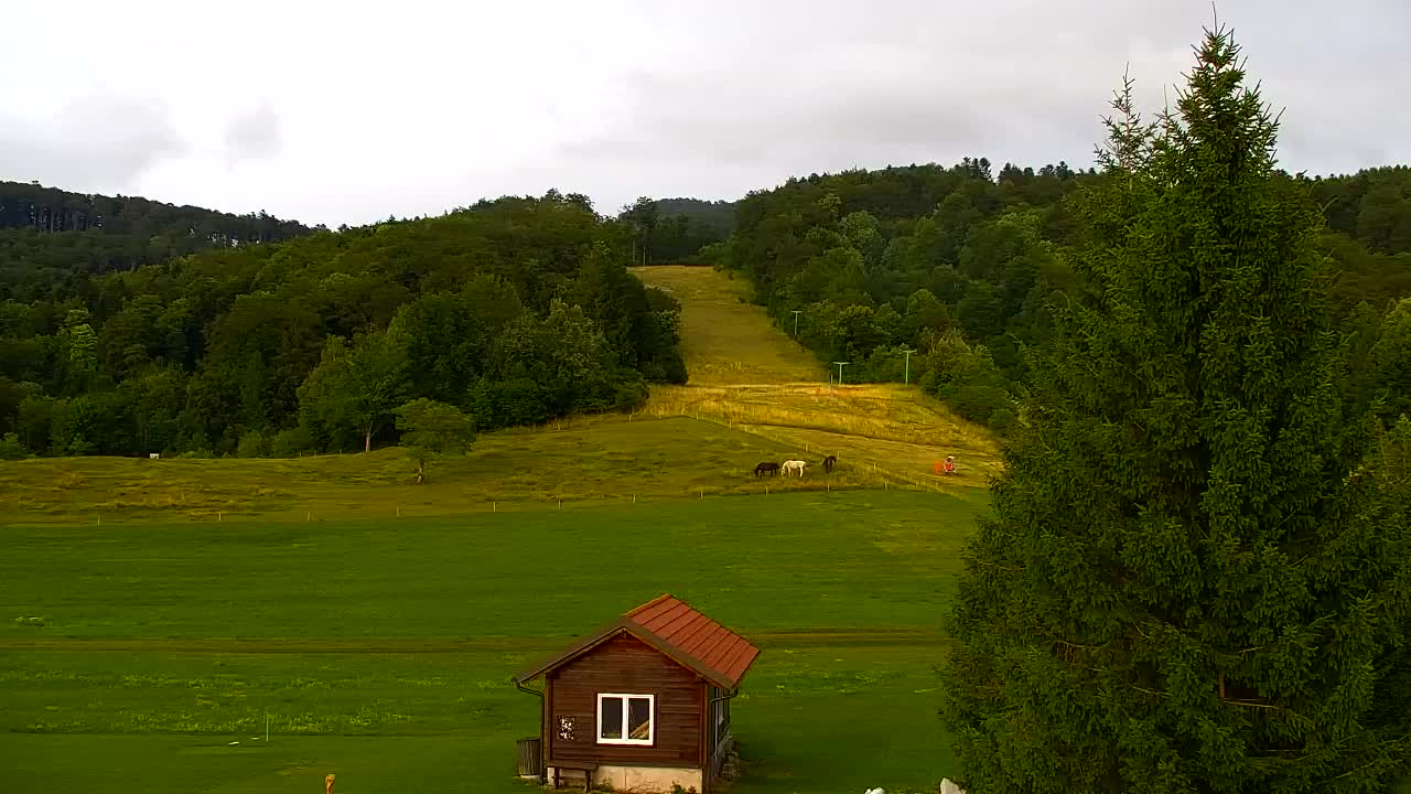Webcam Lokve – La beauté de la forêt de Trnovo