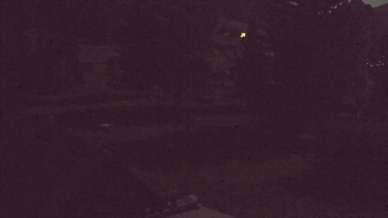 Webcam Lokve – The beauty of the Trnovo forest