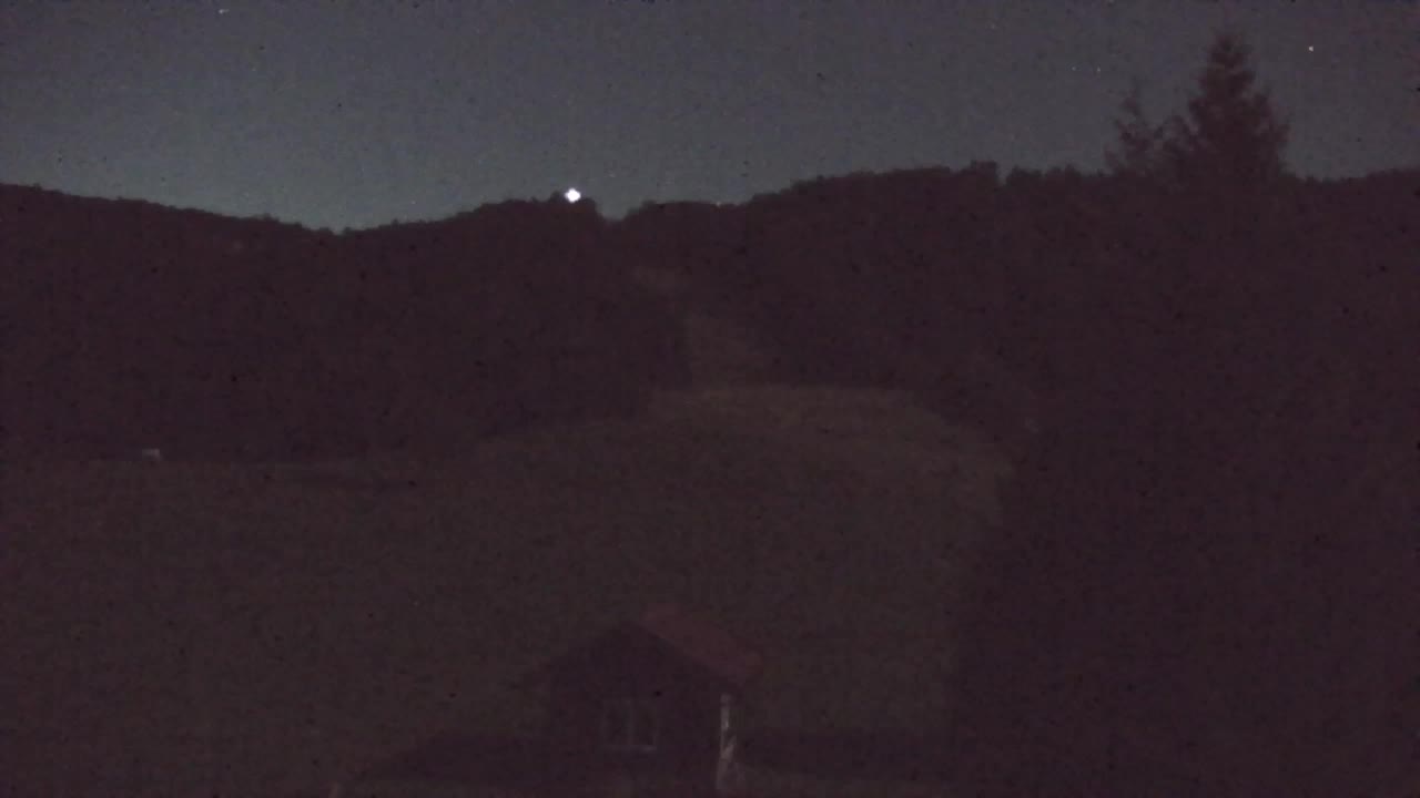 Webcam Lokve – La beauté de la forêt de Trnovo