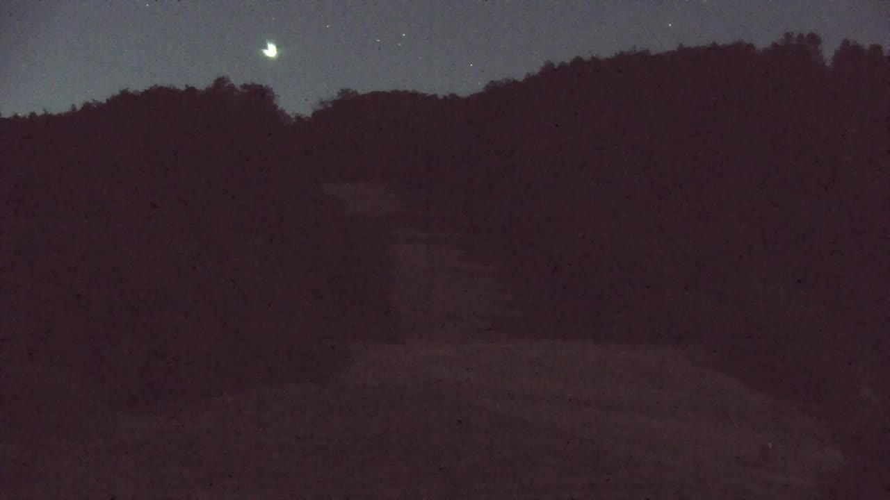 Camera en vivo Lokve – La belleza del bosque de Trnovo