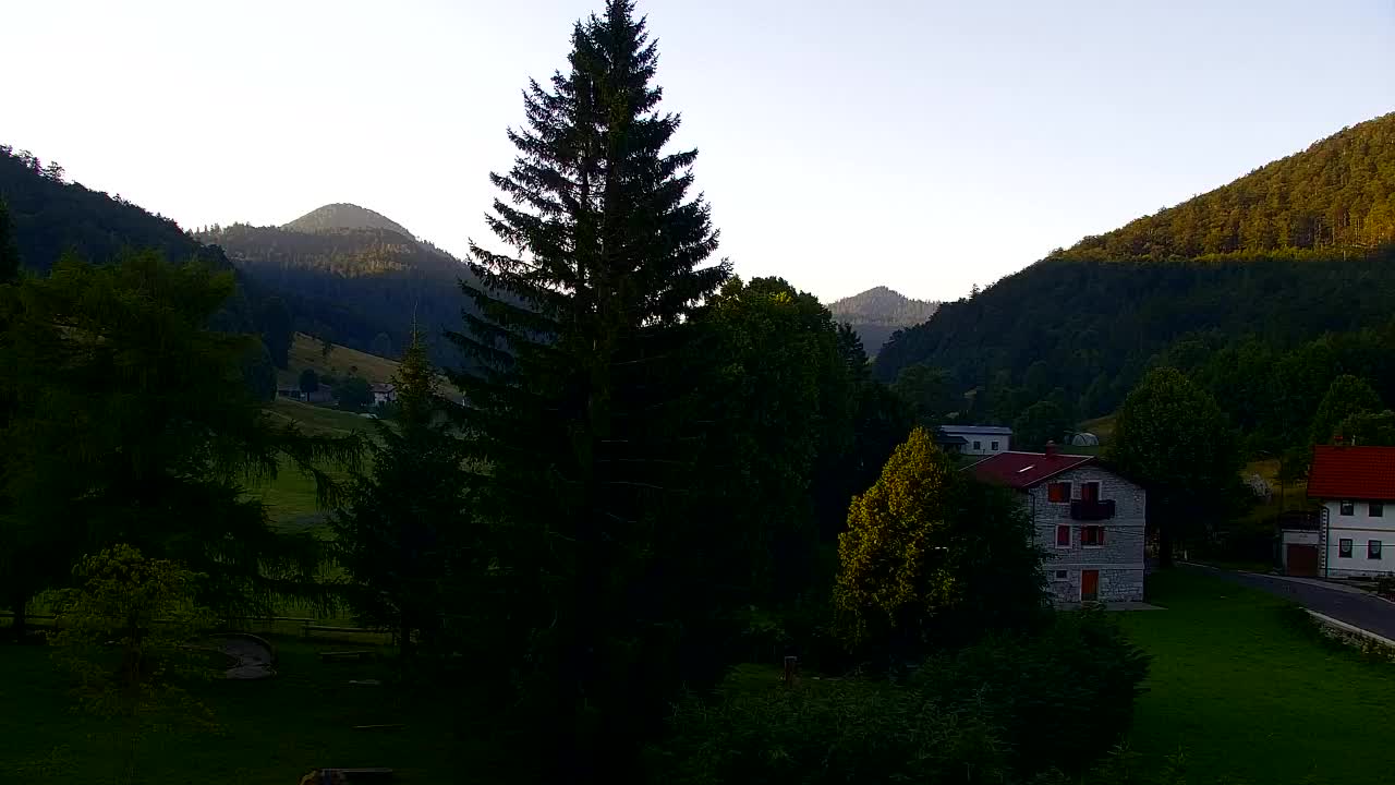 Webcam Lokve – La beauté de la forêt de Trnovo