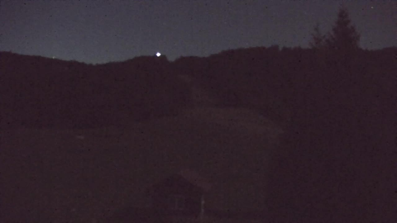 Webcam Lokve – The beauty of the Trnovo forest