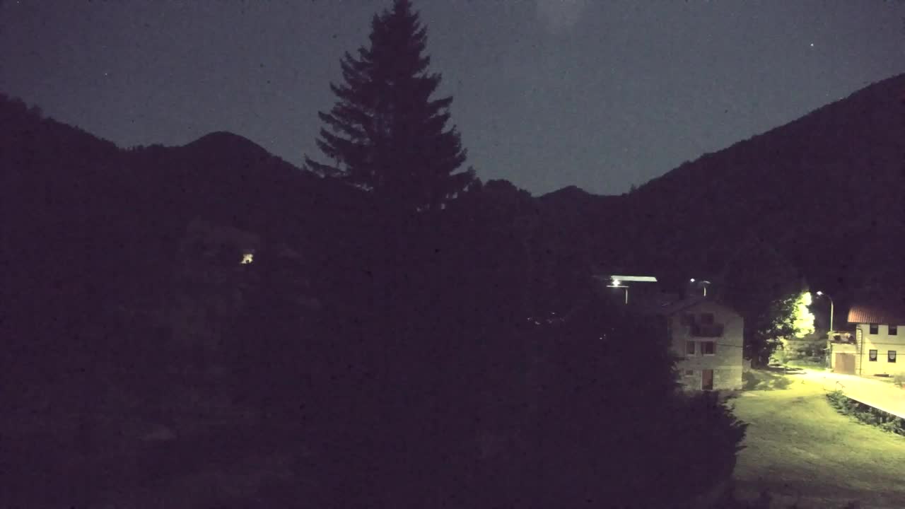 Webcam Loqua / Lokve – La bellezza della selva di Tarnova
