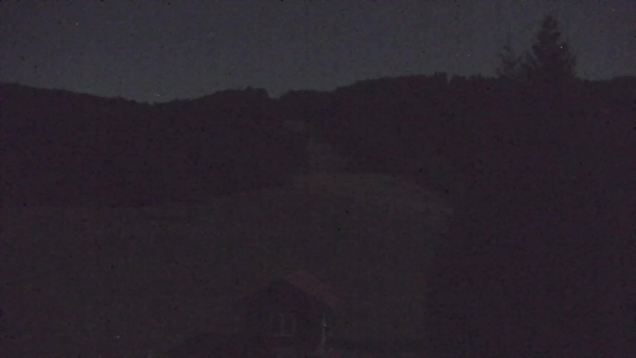 Webcam Lokve – The beauty of the Trnovo forest