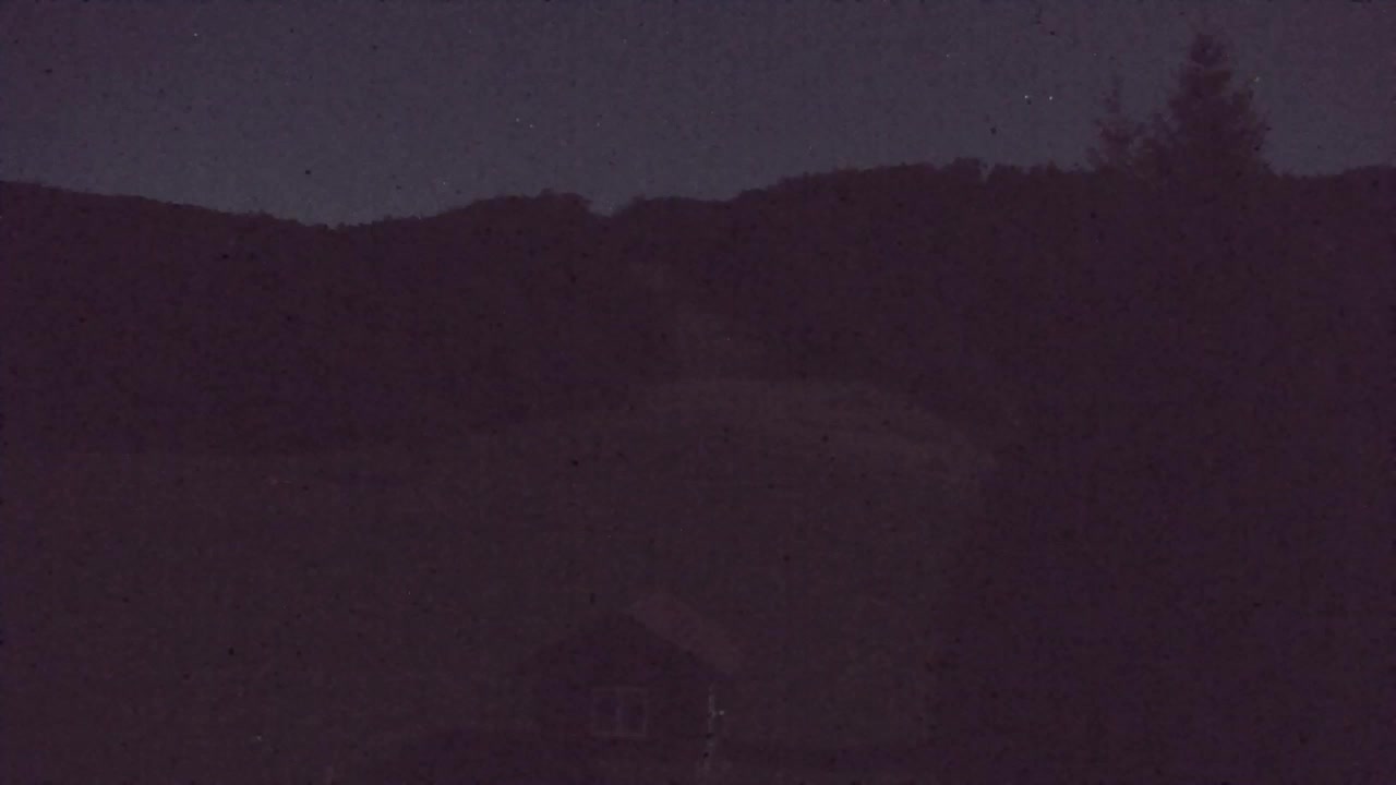 Webcam Loqua / Lokve – La bellezza della selva di Tarnova