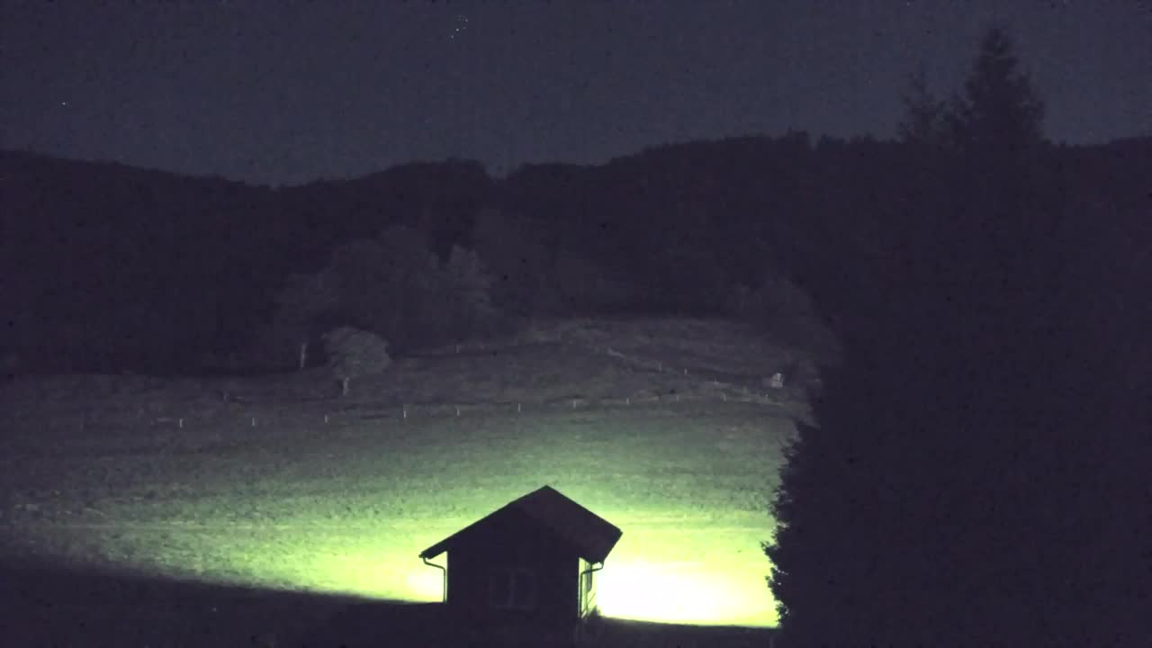 Webcam Loqua / Lokve – La bellezza della selva di Tarnova