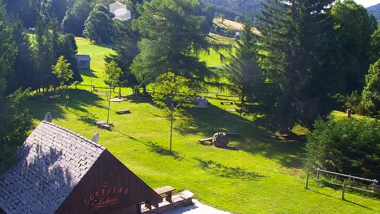 Webcam Lokve – The beauty of the Trnovo forest