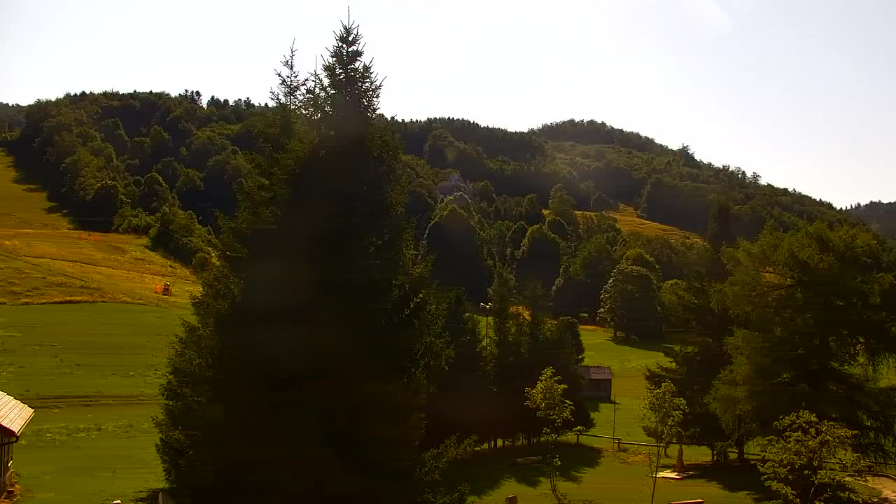 Webcam Lokve – The beauty of the Trnovo forest