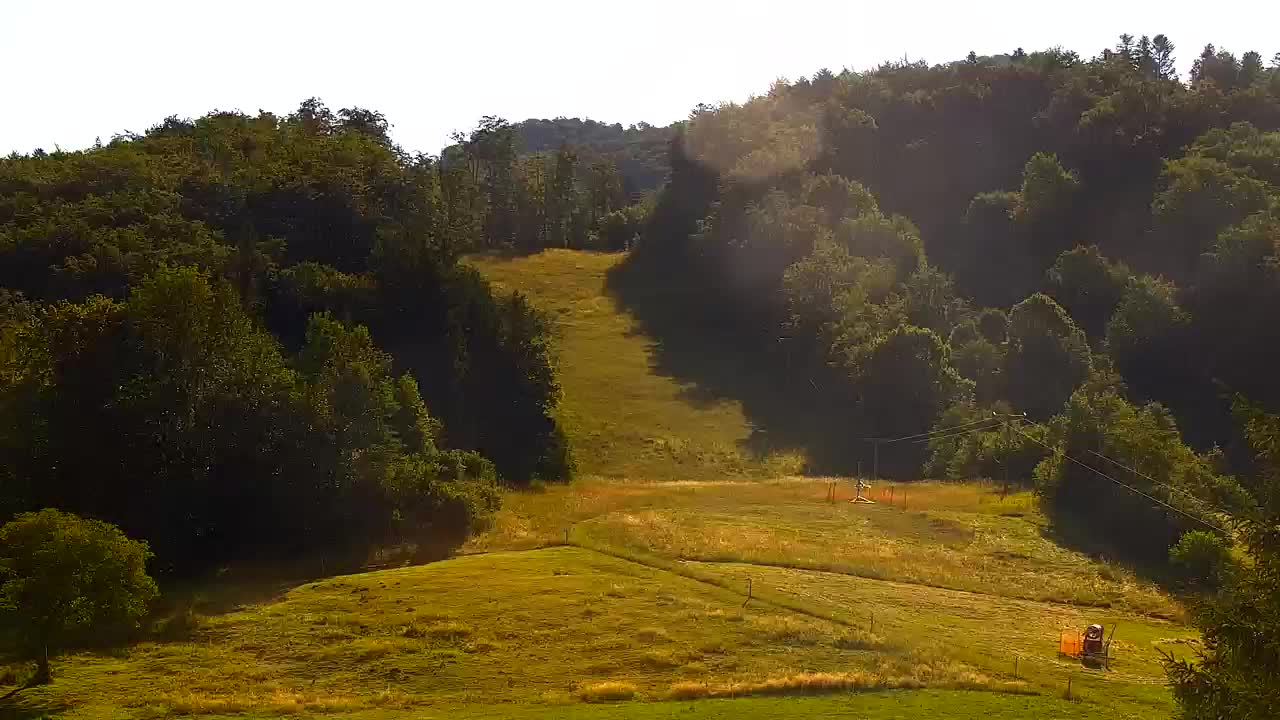 Webcam Loqua / Lokve – La bellezza della selva di Tarnova