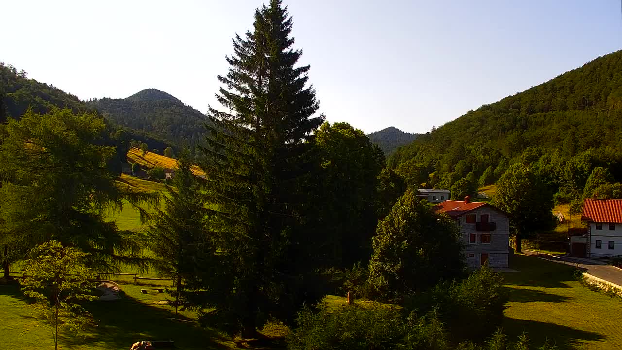 Camera en vivo Lokve – La belleza del bosque de Trnovo