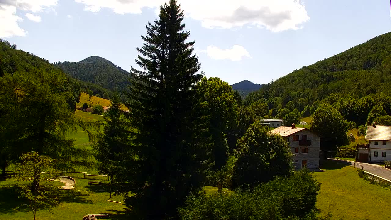 Webcam Lokve – The beauty of the Trnovo forest