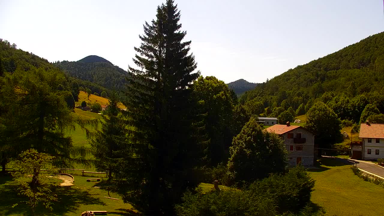 Webcam Lokve – The beauty of the Trnovo forest