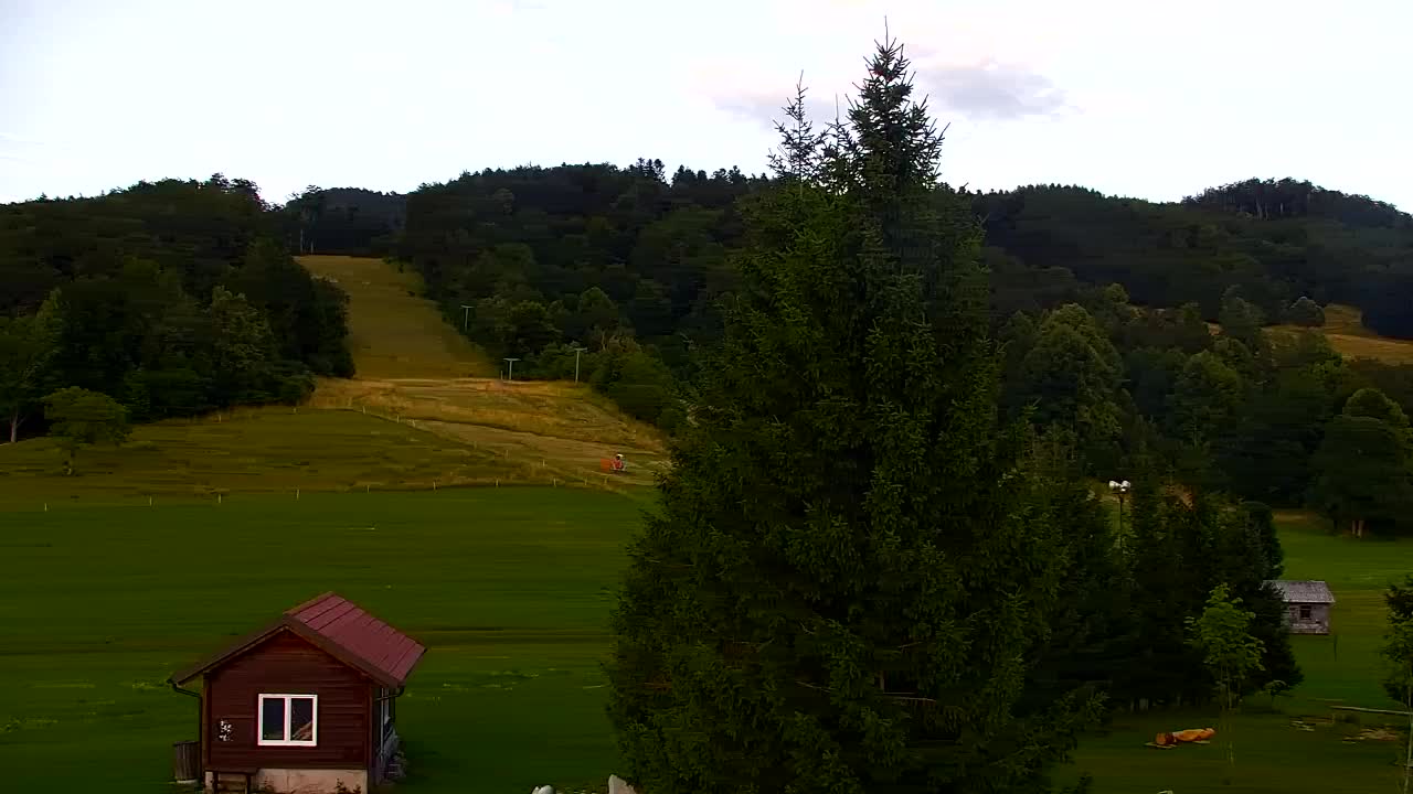 Webcam Lokve – The beauty of the Trnovo forest