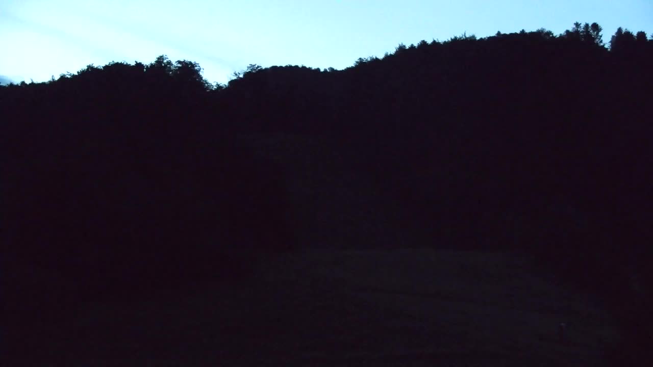 Webcam Lokve – La beauté de la forêt de Trnovo