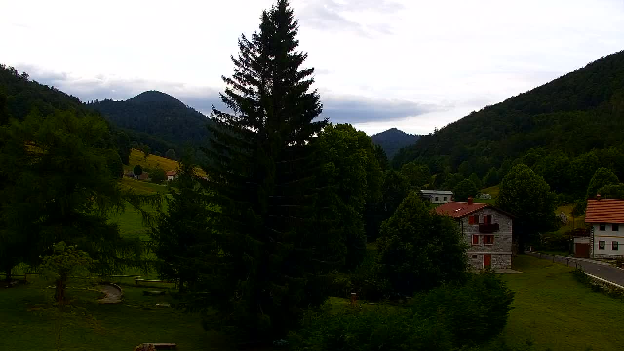 Webcam Lokve – The beauty of the Trnovo forest