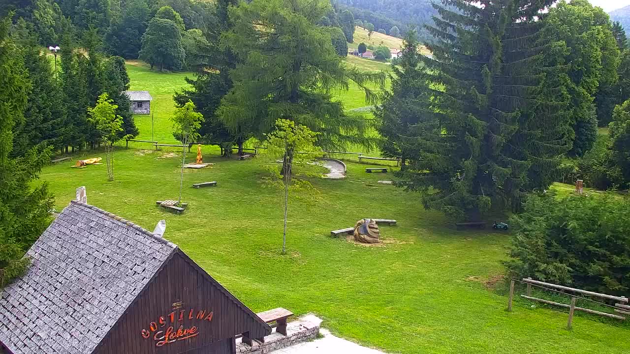 Webcam Loqua / Lokve – La bellezza della selva di Tarnova