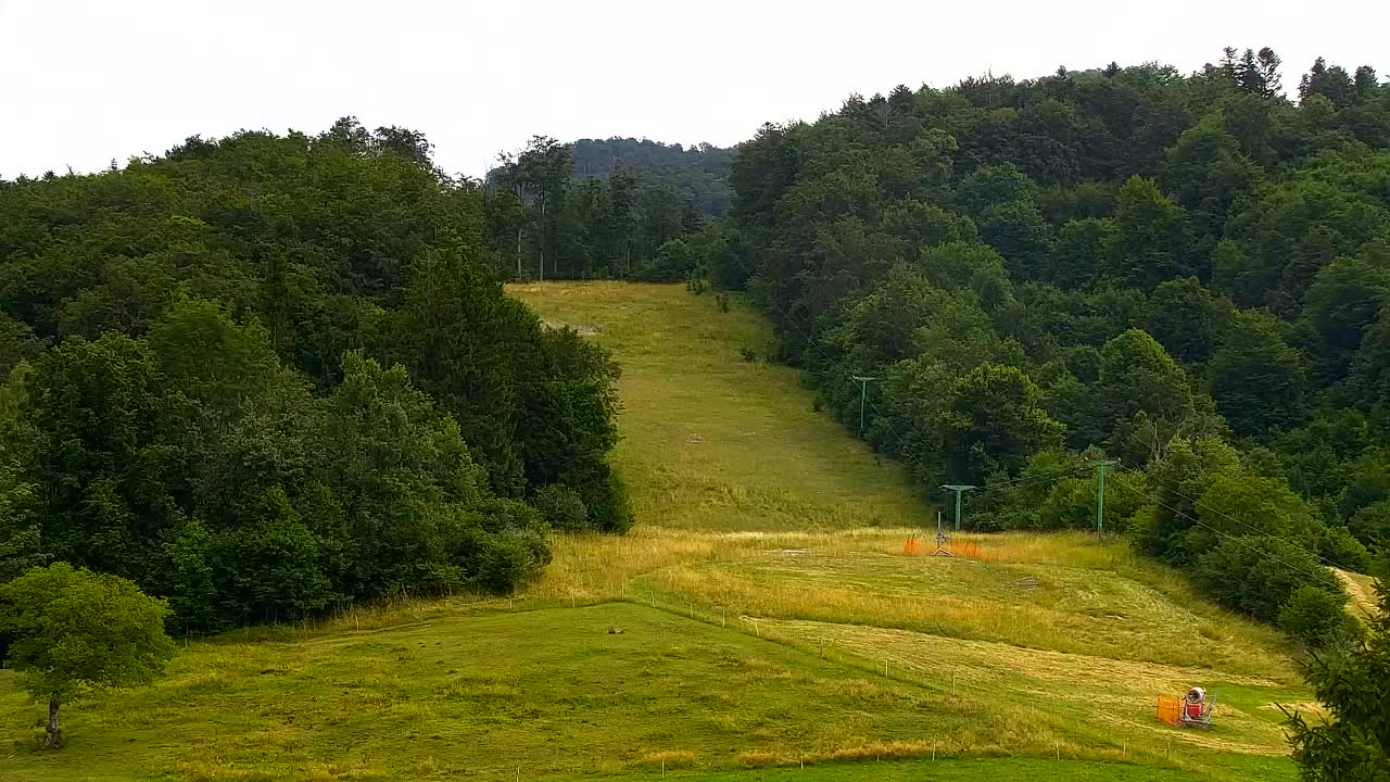 Webcam Lokve – La beauté de la forêt de Trnovo