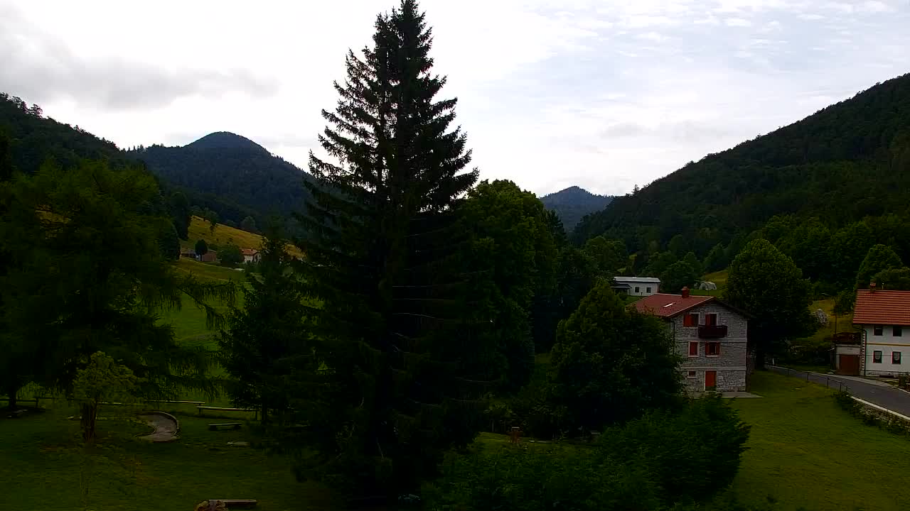 Webcam Loqua / Lokve – La bellezza della selva di Tarnova