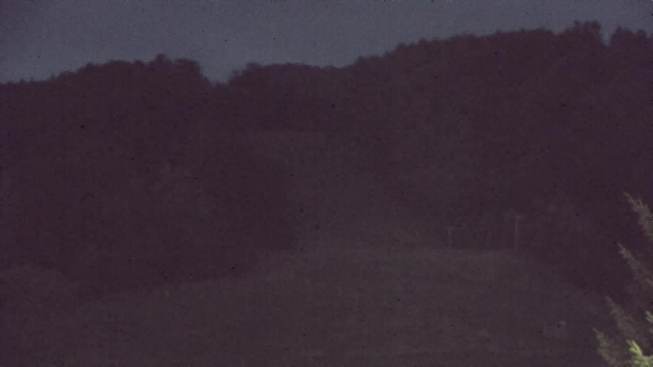 Webcam Loqua / Lokve – La bellezza della selva di Tarnova