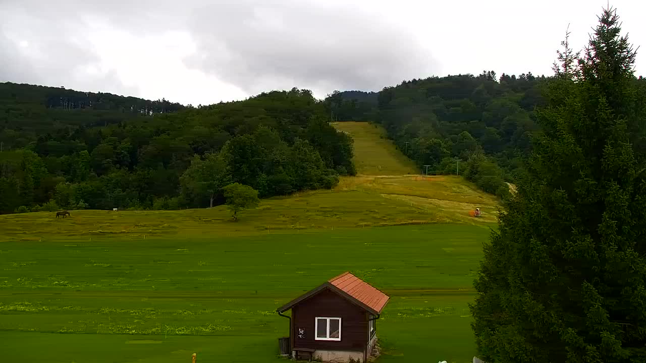 Webcam Lokve – The beauty of the Trnovo forest