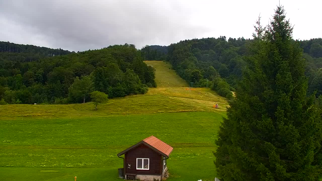 Webcam Lokve – La beauté de la forêt de Trnovo