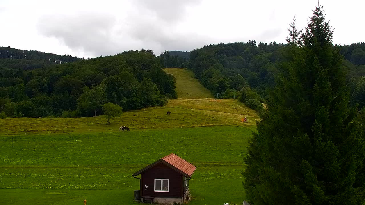 Webcam Lokve – Die Schönheit des Trnovo-Waldes