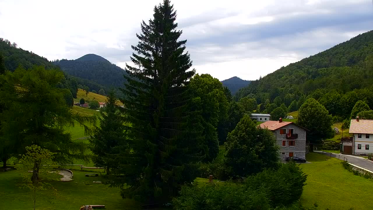 Webcam Lokve – La beauté de la forêt de Trnovo