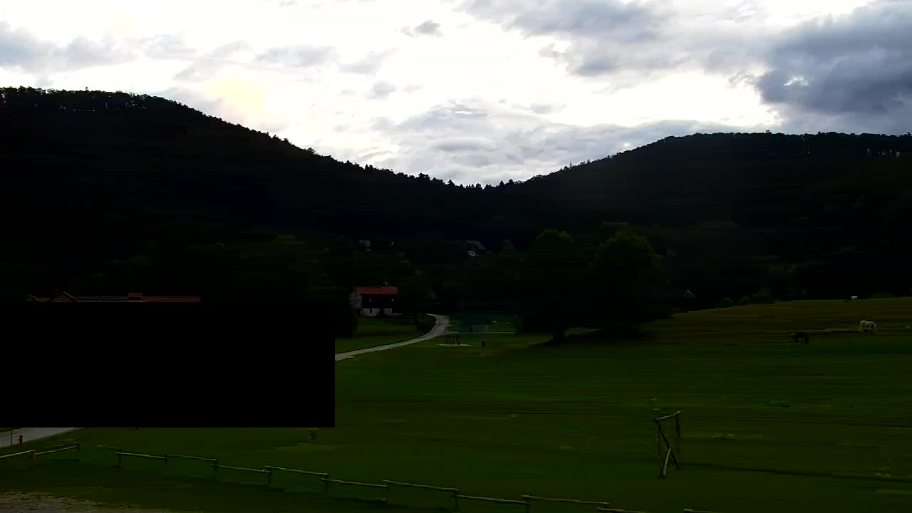 Webcam Lokve – La beauté de la forêt de Trnovo