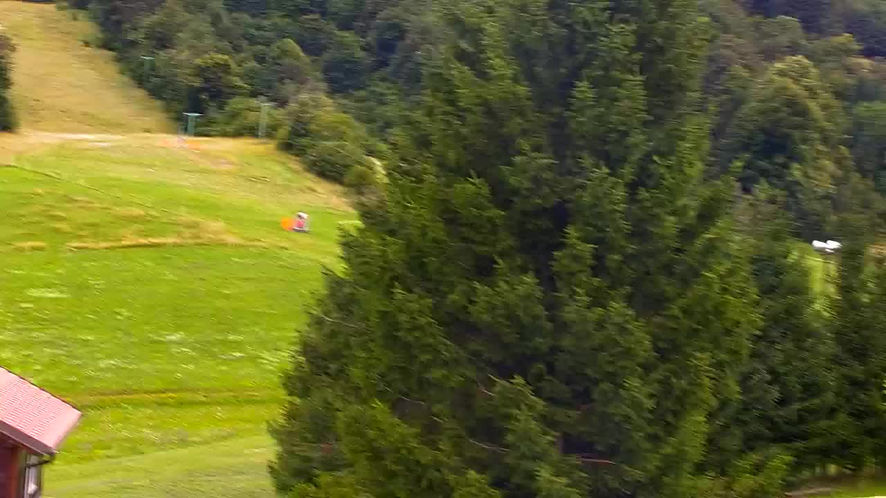 Camera en vivo Lokve – La belleza del bosque de Trnovo