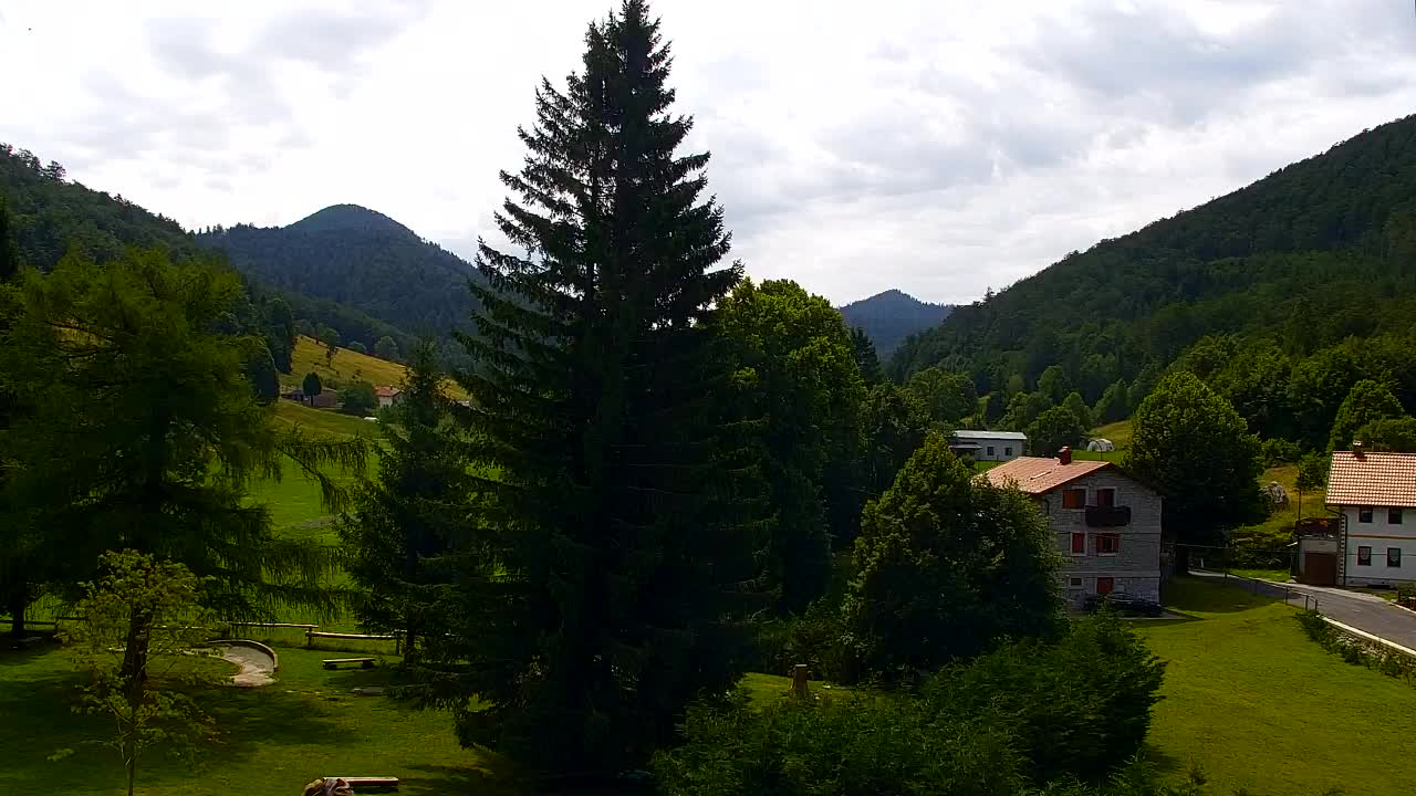Webcam Lokve – The beauty of the Trnovo forest