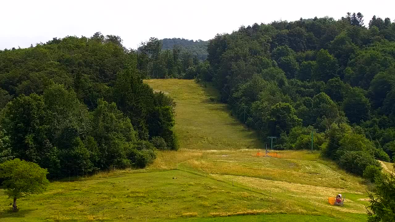 Webcam Lokve – La beauté de la forêt de Trnovo